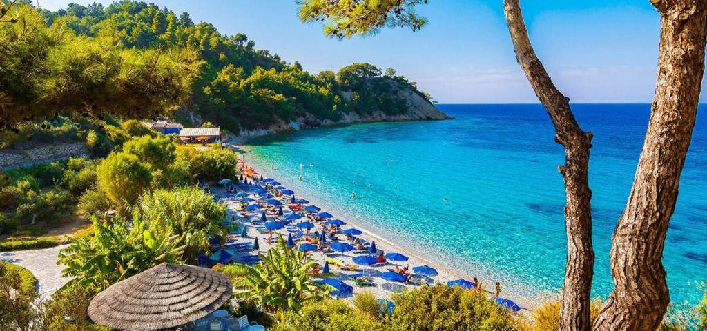 More vouchers available through the North Evia - Samos Pass scheme 